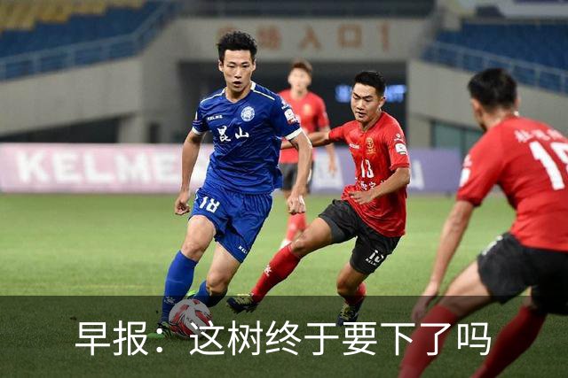 早报：这树终于要下了吗